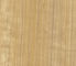 التصاق قوي بولي كلوريد الفينيل فيلم نقل الحرارة مع مختلف الحبوب الخشبية 70 ميكرون صورة حية